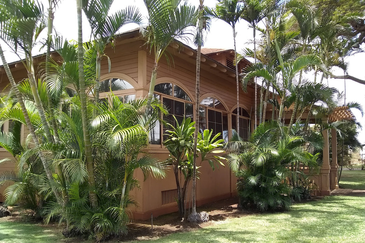 A tan building with arched windows surrounded by palm trees and grass.