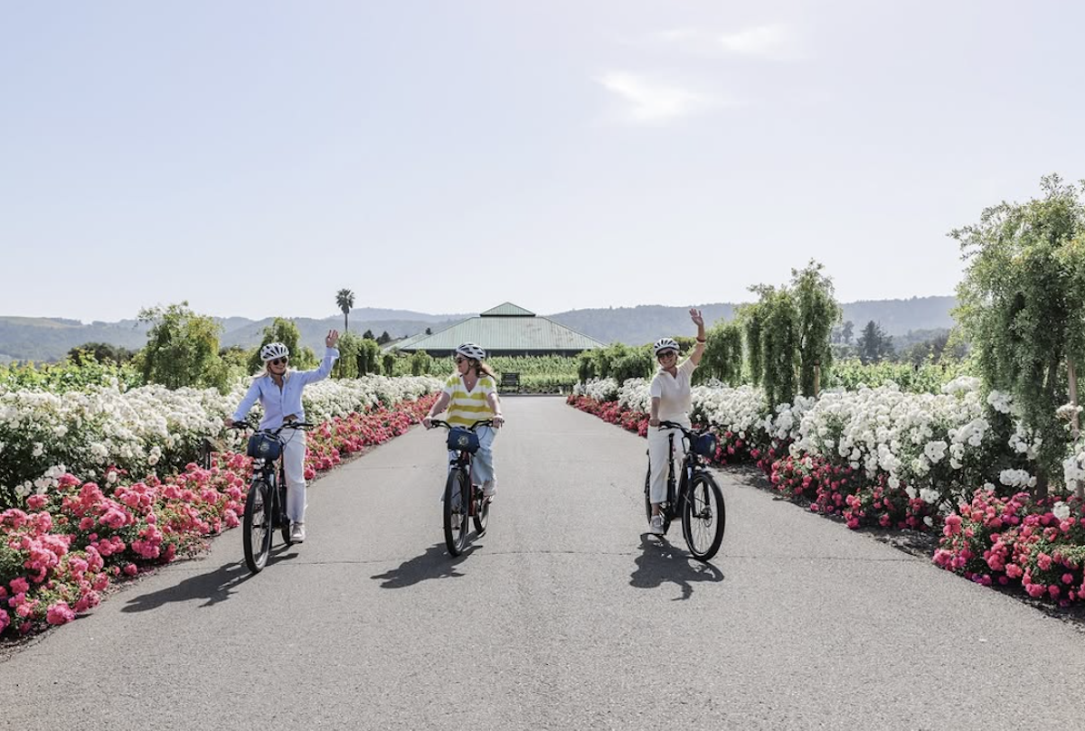Three women ride on bikes towards the camera on a wide paved road and with rows of pink and white flowers along the sides of the road.