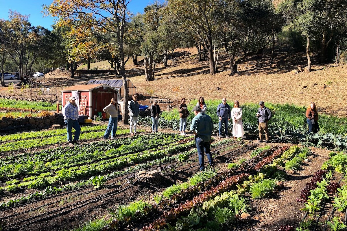 A group of people watch someone instructing amidst farming plots and against the side of a hill dotted with trees.