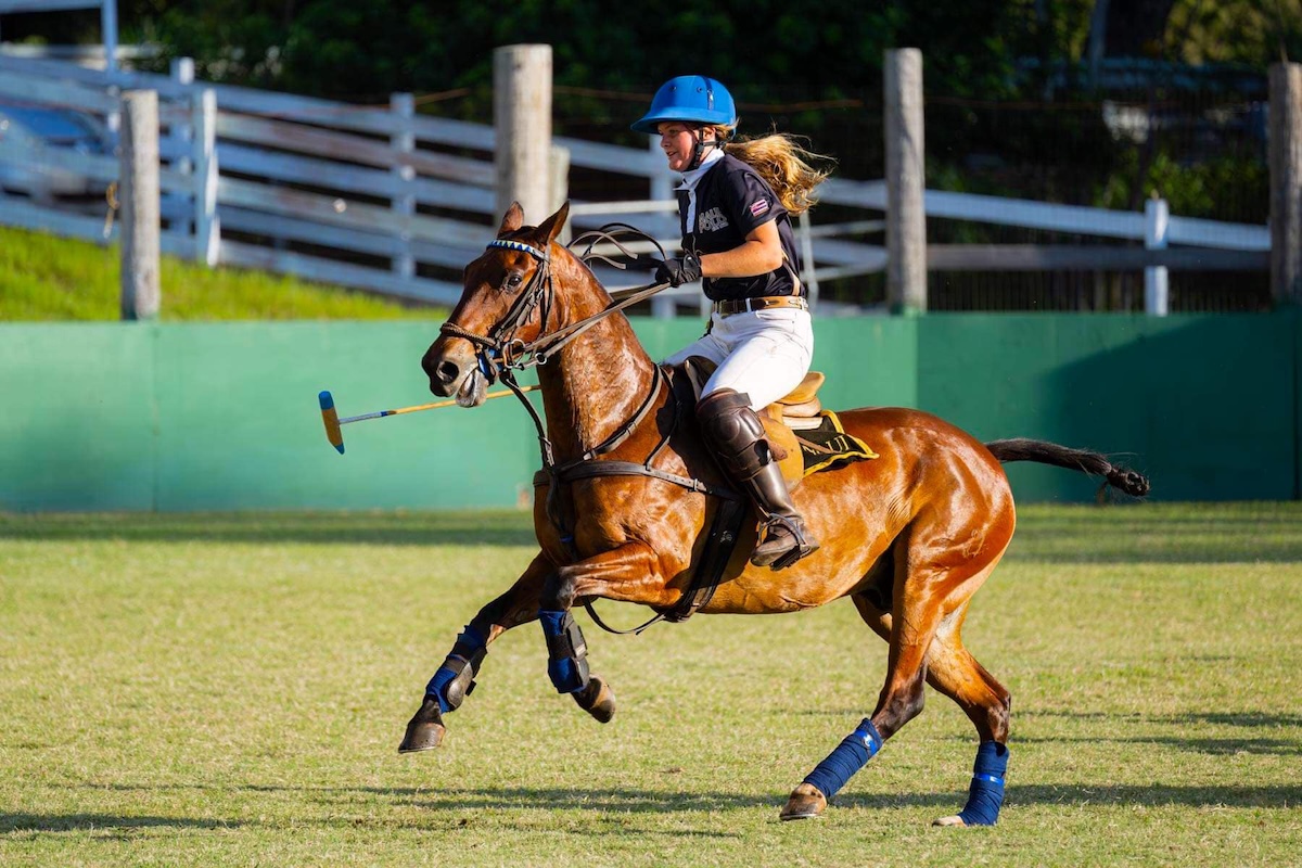 Someone rides a horse for polo.