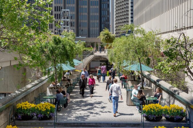 Why Embarcadero Center is the Epicenter for Exploring San Francisco