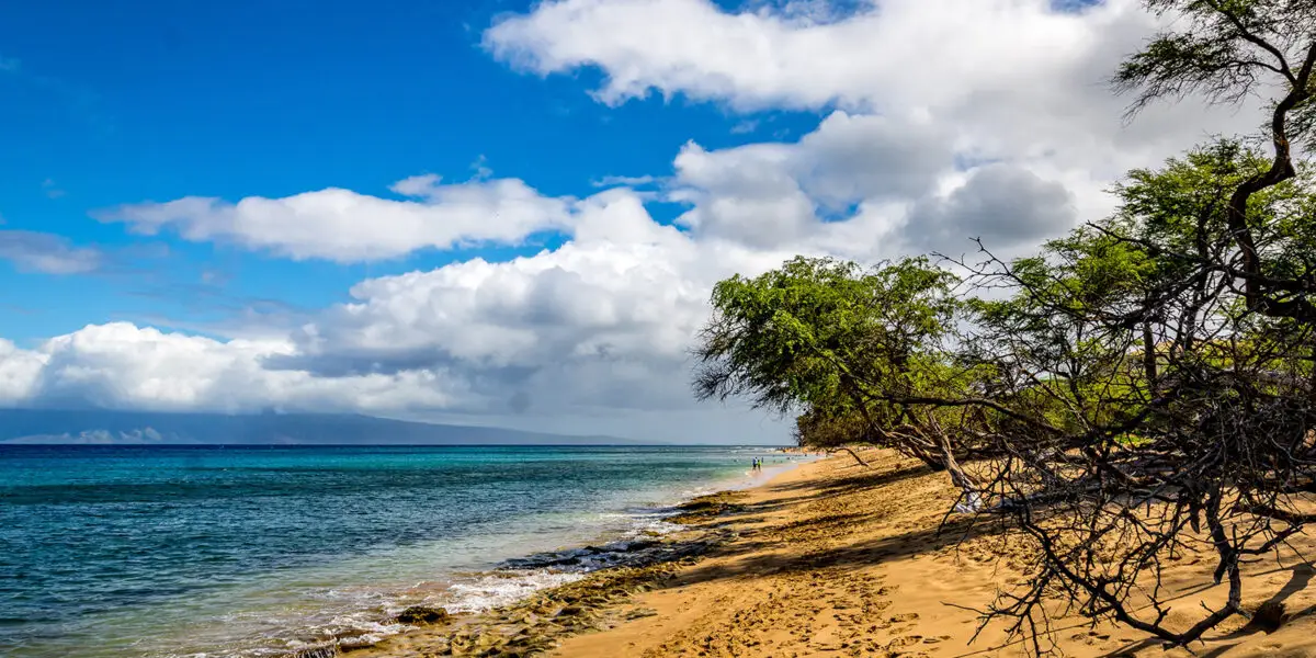 A serene beach scene showcases one of Maui's lesser-known beaches, with a sandy shoreline bordered by lush green trees on the right. The calm turquoise ocean stretches toward the horizon, under a partly cloudy blue sky. Distant mountains are faintly visible in the background across the water.