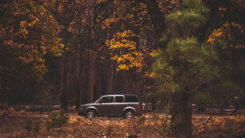 NorCal - Fall Getaways - Yosemite -800x450 - credit Casey Horner