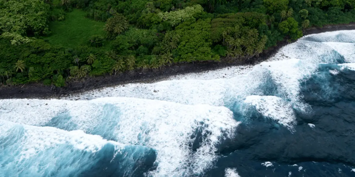 Aerial view of a lush green tropical rainforest coastline on the Big Island, with foamy white waves crashing against the dark rocky shore, creating a dramatic contrast between the greenery and the ocean—one of the best places to scuba dive.