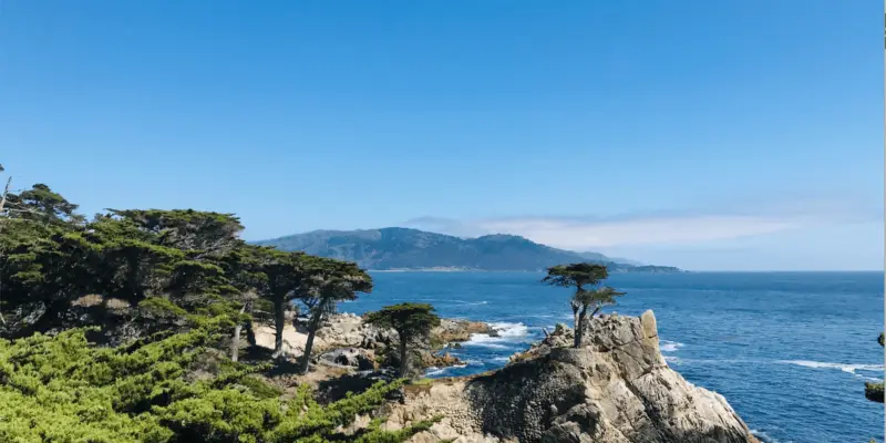 A scenic coastal landscape features rugged cliffs dotted with windswept trees and lush greenery overlooking a deep blue ocean under a clear sky, ideal for scenic drives in Northern California. In the background, a range of hazy mountains stretches across the horizon.