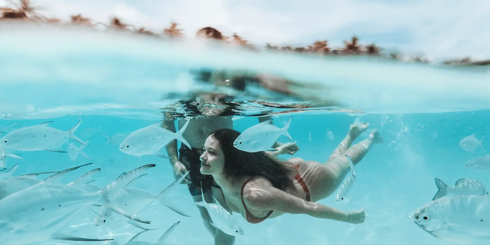 A person swims underwater in a clear blue ocean surrounded by several silver fish. The sky and palm trees are visible above the water's surface, providing a tropical backdrop. This serene aquatic environment is one of the best activities for teenagers visiting Oahu.