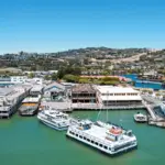 Aerial view of a bustling marina with several docked boats and yachts in a calm, greenish-blue body of water. Surrounding the marina, a charming foodie destination, Tiburon, boasts buildings, trees, and rolling hills under a clear blue sky.