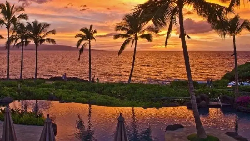 A breathtaking tropical sunset over a calm ocean, viewed through tall palm trees. Below, an infinity pool reflects the vibrant orange and pink hues of the sky. Lush greenery surrounds the pool, creating a serene and picturesque setting reminiscent of the best luxury hotels in Maui.