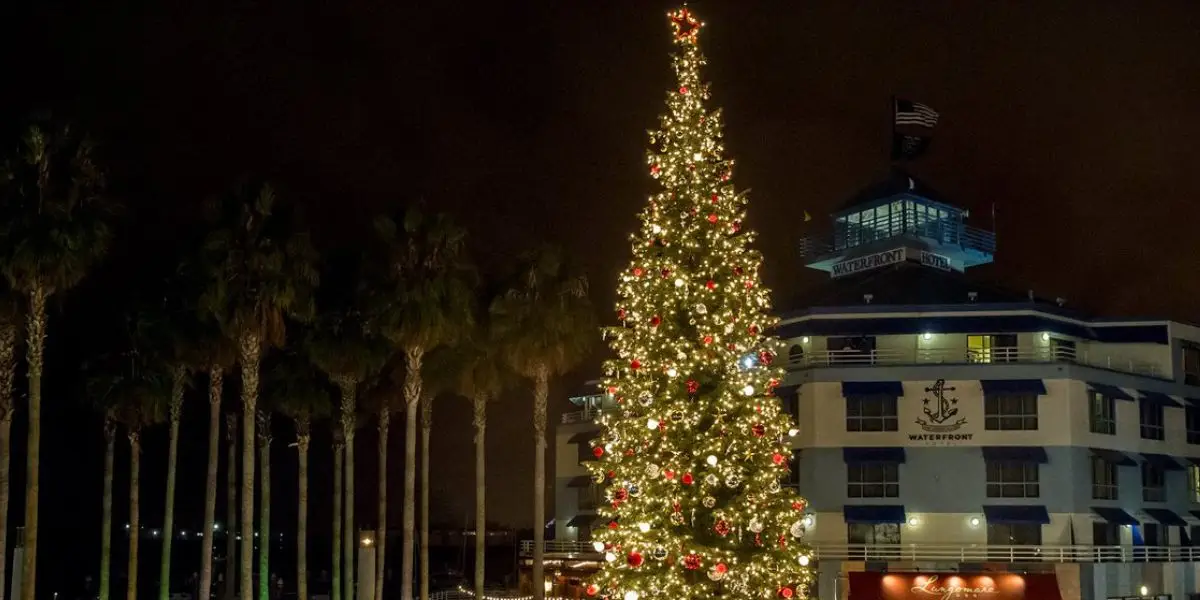 A tall Christmas tree adorned with lights and ornaments stands illuminated at night in front of a building displaying "Waterfront." The building features a ship emblem, and palm trees line the background. It's one of the Best Things To Do in the Bay Area This December.