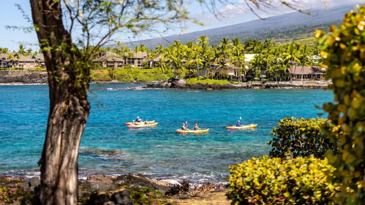 Four people in kayaks paddle on a clear blue sea near a lush, green shoreline. Tropical palm trees, foliage, and distant buildings are visible in the background. The scene is vibrant, sunny, and picturesque with a mountainous landscape in the distance, exemplifying why the Big Island offers the best vetted value hotels.