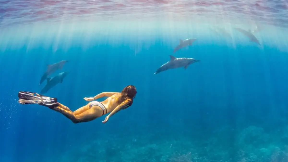 A person swimming underwater with three dolphins nearby in the open ocean. Sunlight from the surface casts rays through the clear blue water, illuminating the scene. The swimmer, wearing a swimsuit and fins, appears to be enjoying the best snorkeling Big Island Hawaii has to offer with the marine animals.