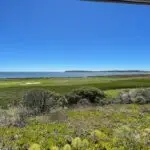 A scenic view of one of the best golf courses Sonoma County has to offer, featuring lush green fairways, a bunker, and a backdrop of the ocean under a clear blue sky. The landscape includes various shrubs and grasses in the foreground, with distant hills meeting the coastline—an ideal spot for golfing.