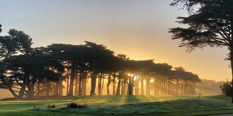 A tranquil image of a sunrise behind a cluster of tall trees, casting golden light and long shadows over a green, dewy field. The sky is a gradient of soft orange and cool grey, perfect for an early morning round at one of the best golf courses in San Francisco.