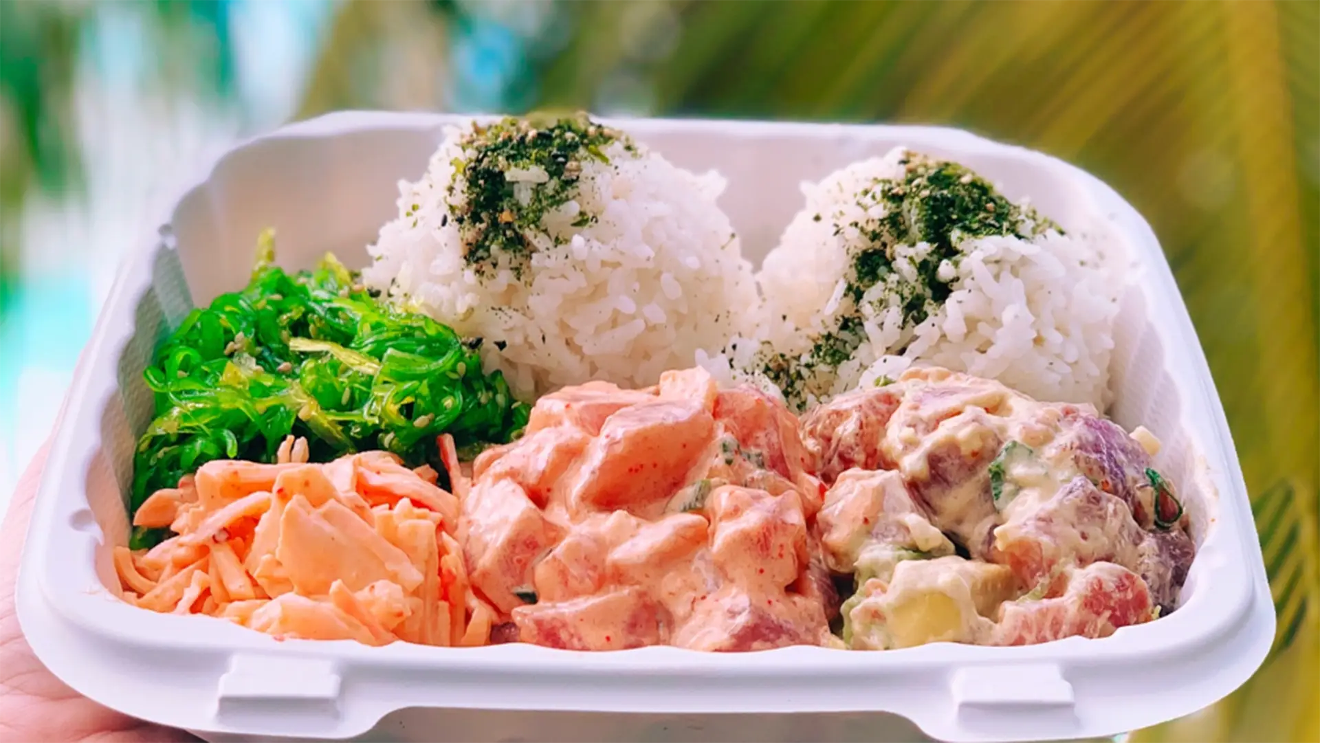 A takeout container filled with a colorful assortment of food that surely makes for the best lunch on the Big Island. It includes two rice balls topped with green seasoning, a portion of vibrant seaweed salad, shredded carrots, and creamy mixed poké with chunks of fish and vegetables.