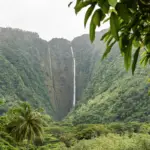 A majestic waterfall cascades down a lush, green, V-shaped valley surrounded by dense tropical foliage. Foreground branches frame the scene, enhancing the vibrancy of the verdant landscape. Misty skies add depth to this serene, untouched natural setting, making it one of the top attractions on the Big Island.