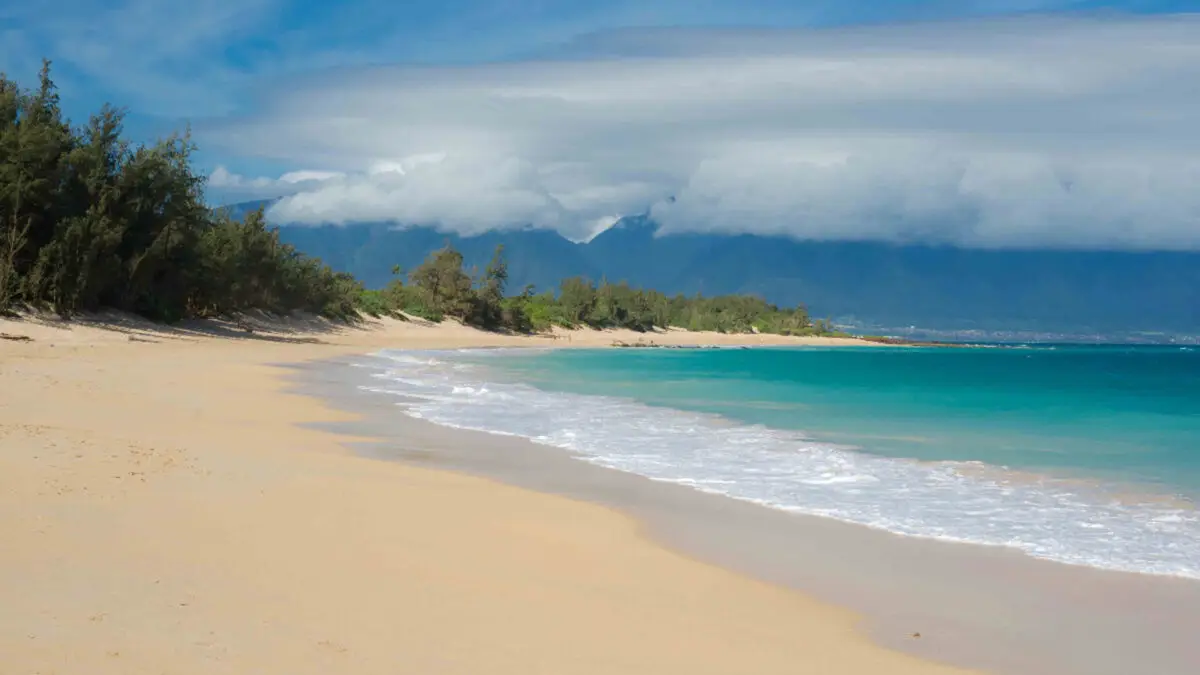 A serene beach with smooth golden sand and gentle waves lapping at the shore—one of the best beaches for walks on Maui. The turquoise ocean stretches to the horizon, under a bright blue sky with some fluffy clouds. Lush green trees line the edge of the beach, and mountains are visible in the background.