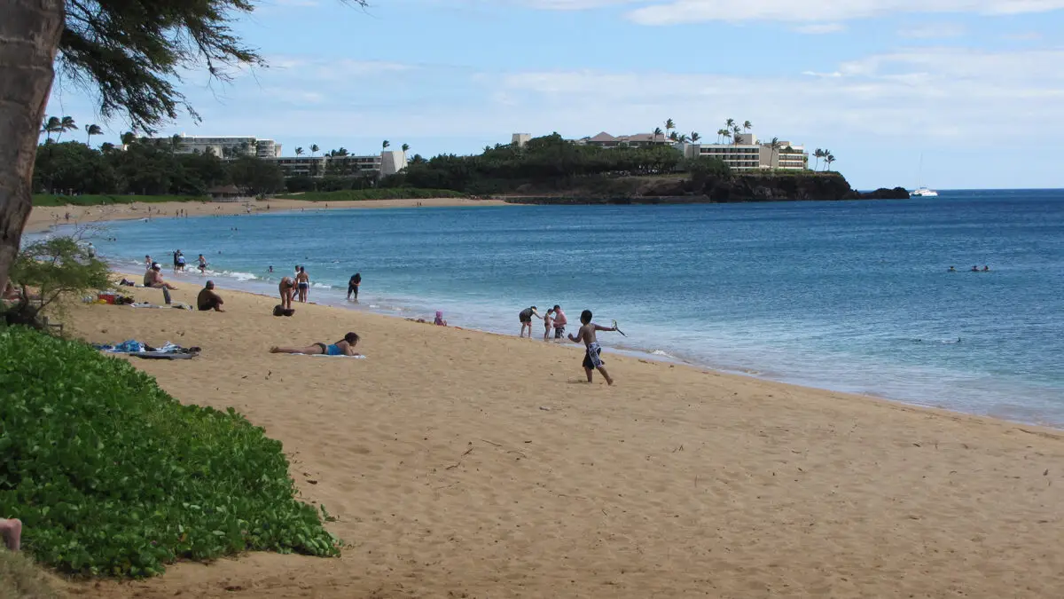 A scenic beach with golden sand and clear blue water, considered one of the best beaches for walks on Maui. People are sunbathing, swimming, and playing near the shore. Buildings and palm trees are visible in the background against a partly cloudy sky. Lush green vegetation is seen in the foreground.