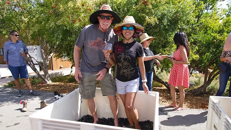 Two people wearing hats stand in a container filled with grapes, participating in one of the best things to do in Napa Valley this October: a grape stomping activity at an outdoor event. The man, in sunglasses and a t-shirt, and the woman, in sunglasses and a casual outfit, smile at the camera. Others socialize nearby.