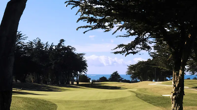 A golf course with a lush green fairway stretches towards the horizon, flanked by tall trees. The blue sky above is dotted with a few clouds, and the distant view shows the calm sea, capturing the serene beauty typical of Monterey area Golf Courses.