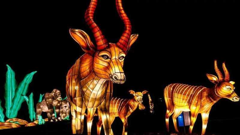 A nighttime scene at a lantern festival in the East Bay features luminous animal lanterns, including two large antelopes, one adult and one calf, with striking red antlers. In the background, two illuminated gorilla lanterns sit amongst glowing green leaves. One of the best things to do in the East Bay this January!