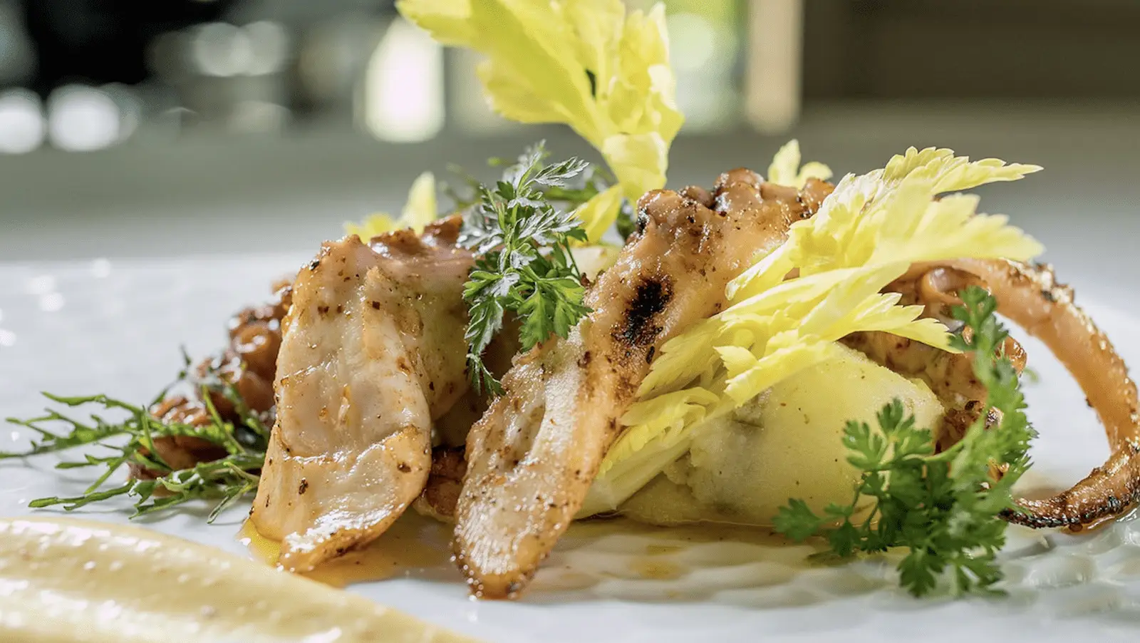 A close-up of a plated gourmet dish from one of the best dinner spots in Sonoma County, featuring grilled octopus tentacles garnished with fresh celery leaves and herbs. The octopus is arranged on a white plate, with a side of creamy sauce in the foreground.