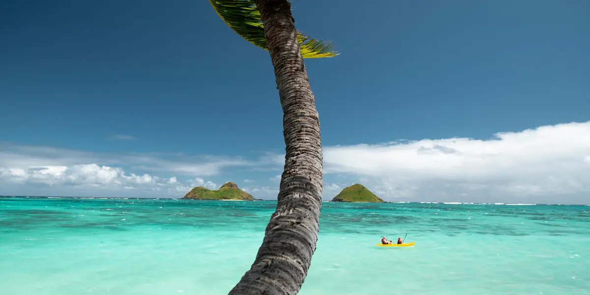 A tall palm tree stretches from the foreground towards the bright blue sky on a tropical beach. Turquoise waters surround two small, lush islands in the background, while a yellow kayak with two teenagers paddling—one of many free activities for teenagers on Oahu—is visible near the center of the image.