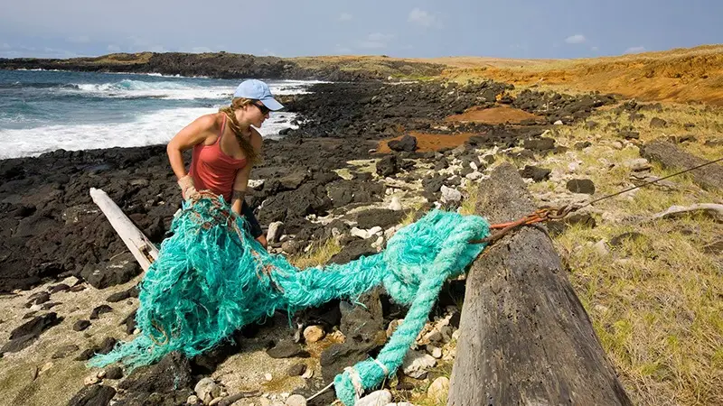 A person wearing a blue cap, red tank top, and beige pants pulls a large green fishing net across a rocky shoreline. The ocean waves crash in the background, and the landscape is characterized by rugged rocks and sparse grass, evoking serene scenes reminiscent of where to volunteer on Maui.