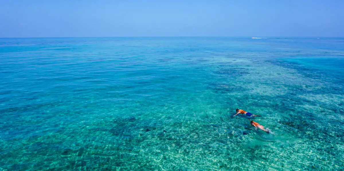 Two snorkelers swim over a vibrant, shallow coral reef in crystal-clear, turquoise ocean water under a cloudless blue sky. The expansive, serene seascape stretches toward the horizon, showcasing why this is one of the top snorkeling tours in Wailea.