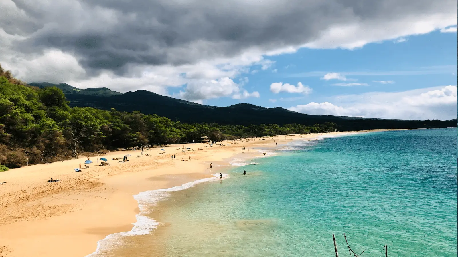 A serene beach scene shows golden sands stretching along the coastline, with turquoise waters gently lapping at the shore. Scattered beachgoers relax under umbrellas and swim in the sea. Lush green hills loom in the background beneath a partially cloudy sky—one of the best places to scuba dive in Maui.