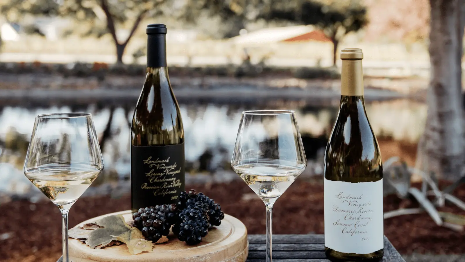 Two bottles of white wine and two wine glasses are set on a wooden table outdoors near a pond. A small round cheese board with grape clusters and cheese wedges completes the scene. The background features trees and a blurred view of a structure, capturing one of the best things to do in Sonoma this January.