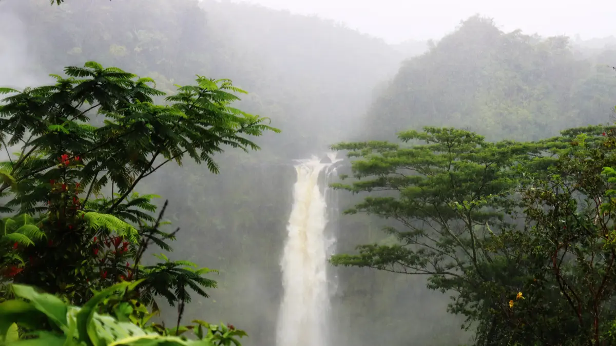 A tall waterfall cascades down a lush, green hillside surrounded by dense tropical vegetation. Mist rises from the waterfall, enveloping the scene in a mystical, foggy atmosphere. The landscape is serene and filled with vibrant, verdant foliage—a perfect spot for exploring what to do on the Big Island when it rains.