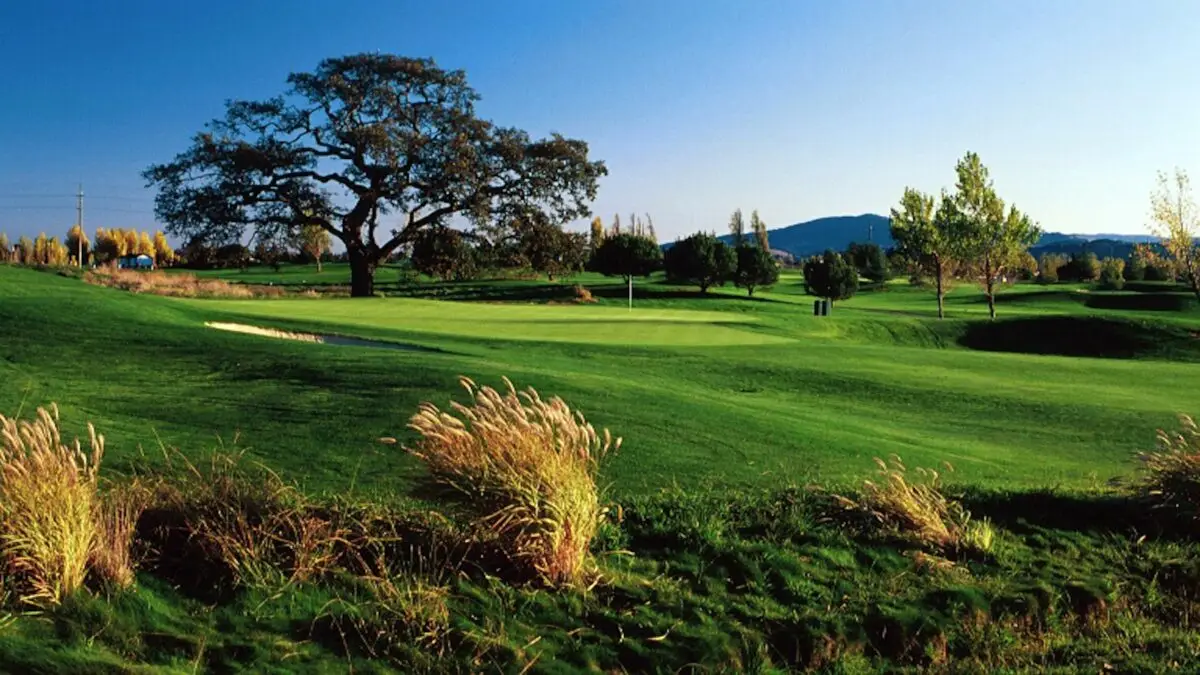 A lush golf course with well-manicured greens and fairways under a clear blue sky, ideal for golfing. Two golfers are visible near the flag on the green. Tall grasses and a large oak tree are in the foreground, with distant hills and trees in the background; truly one of the best golf courses Greater Bay Area has to offer.