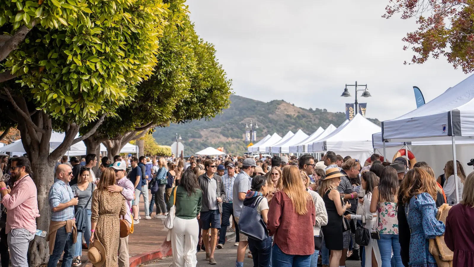 A crowded outdoor festival in Tiburon with tents and people mingling. Trees line the walkway, and a mountain is visible in the background. Attendees are dressed in casual clothing, and the atmosphere is lively with a blue sky and scattered clouds overhead.