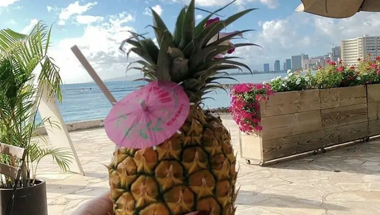 A fresh pineapple with a straw and a pink cocktail umbrella inserted into it is being held up against the backdrop of a sunny beach. In the background, there are top vegan restaurants Oahu, colorful flowers, palm trees, and a view of tall buildings along the coastline.