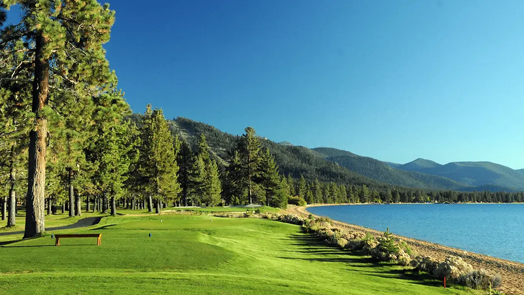 A scenic view of a lakeside landscape on a clear day, featuring a lush green field bordered by tall, dense pine trees—ideal for those seeking the best golfing experiences. The calm blue lake extends towards the mountains in the background under a bright blue sky.