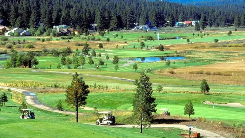 A scenic landscape of a lush golf course surrounded by tall trees and distant houses. Several golf carts are visible on the winding paths, and small ponds dot the grassy expanse. The backdrop includes a dense forest under a clear blue sky, reminiscent of the best golf courses Tahoe has to offer.