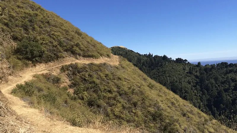 A narrow dirt trail winds along the side of a steep, grassy hillside under a clear blue sky. Trees and dense forest cover the adjacent slopes in the background. This unpaved path promises an adventurous journey, hinting at one of the 10 coolest hikes Northern California has to offer.