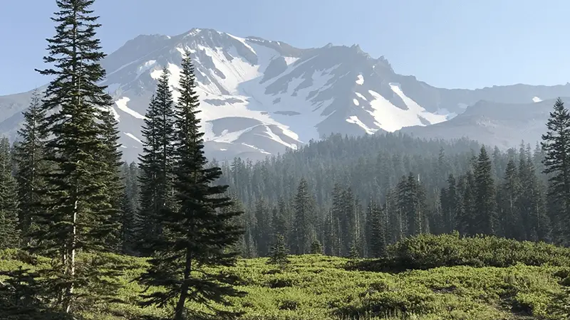 A scenic view of a snow-capped mountain with pine trees in the foreground and a lush green meadow. The sky is clear and blue, enhancing the rugged and majestic appearance of one of the 10 coolest hikes in Northern California. Perfect for a day of hiking and soaking in nature's beauty.