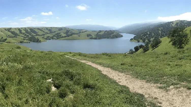 A dirt path winds through a green, hilly landscape leading to a large, calm lake surrounded by rolling hills covered with trees. Perfect for hiking enthusiasts, the clear blue sky with scattered clouds creates a serene and picturesque scene, one of the 10 coolest hikes in Northern California.