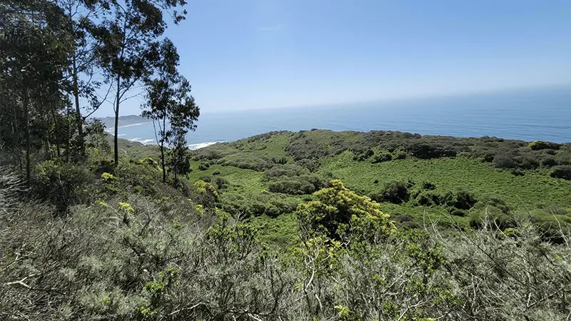 A scenic coastal landscape features lush green hills dotted with trees and shrubs. In the distance, the blue ocean meets the clear sky at the horizon, with a strip of sandy beach visible between the hills and the water—one of the 10 coolest hikes Northern California has to offer.