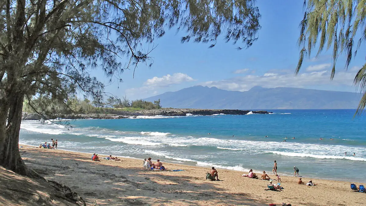 A sunny beach with fine sand and scattered visitors enjoying the shoreline. Clear blue waves gently lap against the shore. D.T. Fleming Beach is surrounded by tall trees with scenic mountains visible in the background under a bright blue sky with a few clouds.