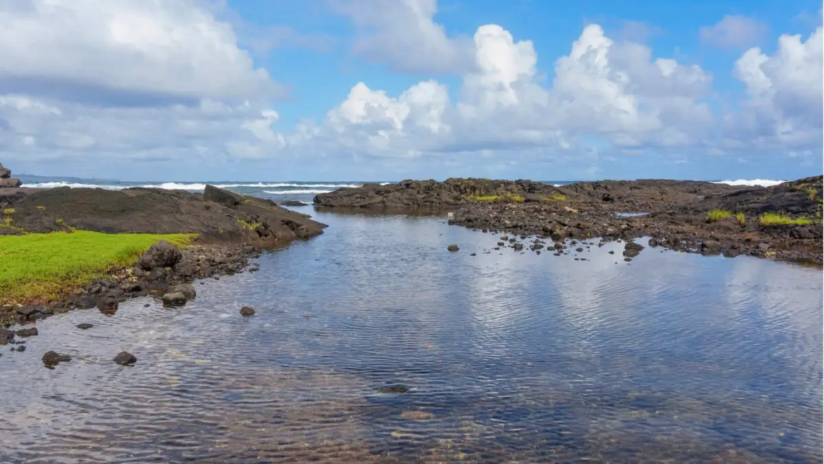A rocky shore at Kahalu'u Beach Park features small pools of clear water reflecting a blue sky with scattered clouds. Waves roll gracefully in the distance, and patches of green grass thrive among the rocks. The scene is peaceful and natural.