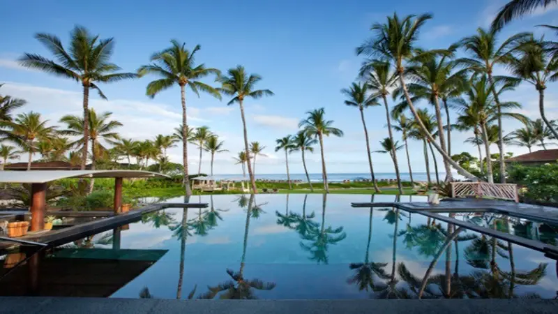 A luxurious infinity pool with a view of the ocean is surrounded by tall palm trees and lush greenery. The clear blue sky and scattered white clouds create a serene, tropical atmosphere. Loungers are placed around the pool, inviting relaxation—perfect for local getaways.