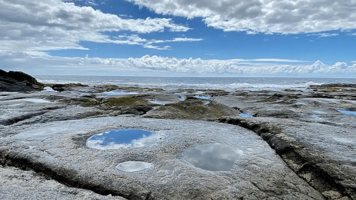 A rocky shoreline with tidal pools reflecting the bright blue sky above, dotted with white clouds. In the distance, the calm ocean meets the horizon seamlessly under a partially cloudy sky. Nearby, a family enjoys snacks and foods that define Hawaiian Culture. The scene exudes tranquility and natural beauty.