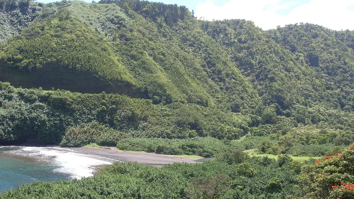 A lush green landscape features dense vegetation covering rolling hills. At the base, trees and bushes lead down to one of Maui's lesser-known pebble beaches beside calm, blue water. The sky above is mostly clear with a few clouds.