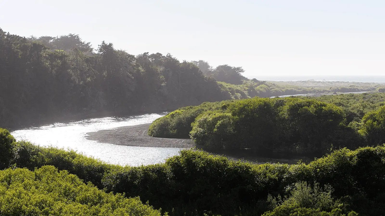 A tranquil river curves through dense green foliage under a pale blue sky. The sunlight reflects off the serene water, and a distant fog obscures the horizon. Lush trees and shrubbery surround the river, creating a serene and natural landscape perfect for local getaways.