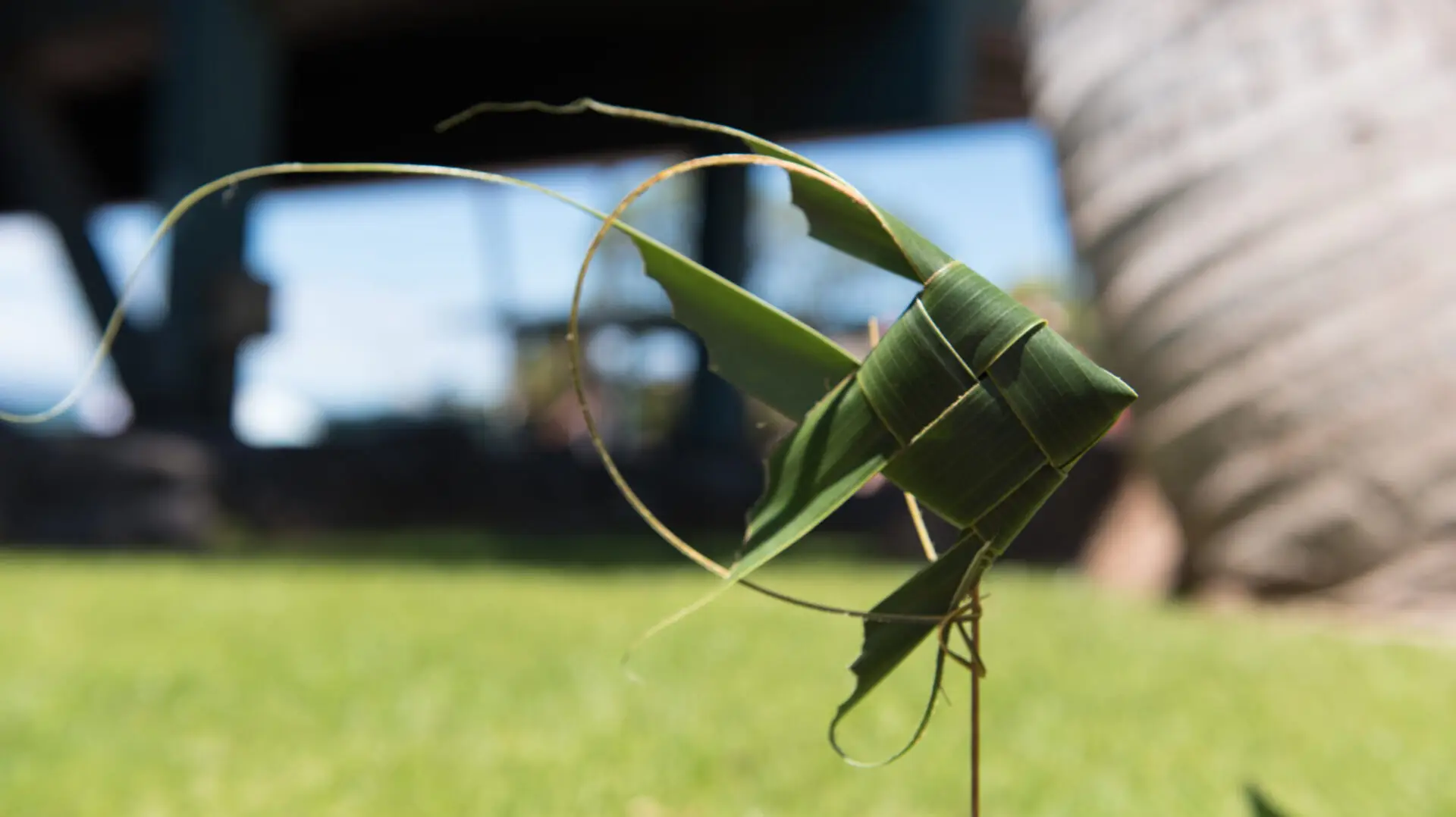 A decorative piece made from green palm leaves intricately woven into the shape of a fish is displayed against a blurred outdoor background, reminiscent of a Hawaii home, with a field of grass and some structures visible in the distance.