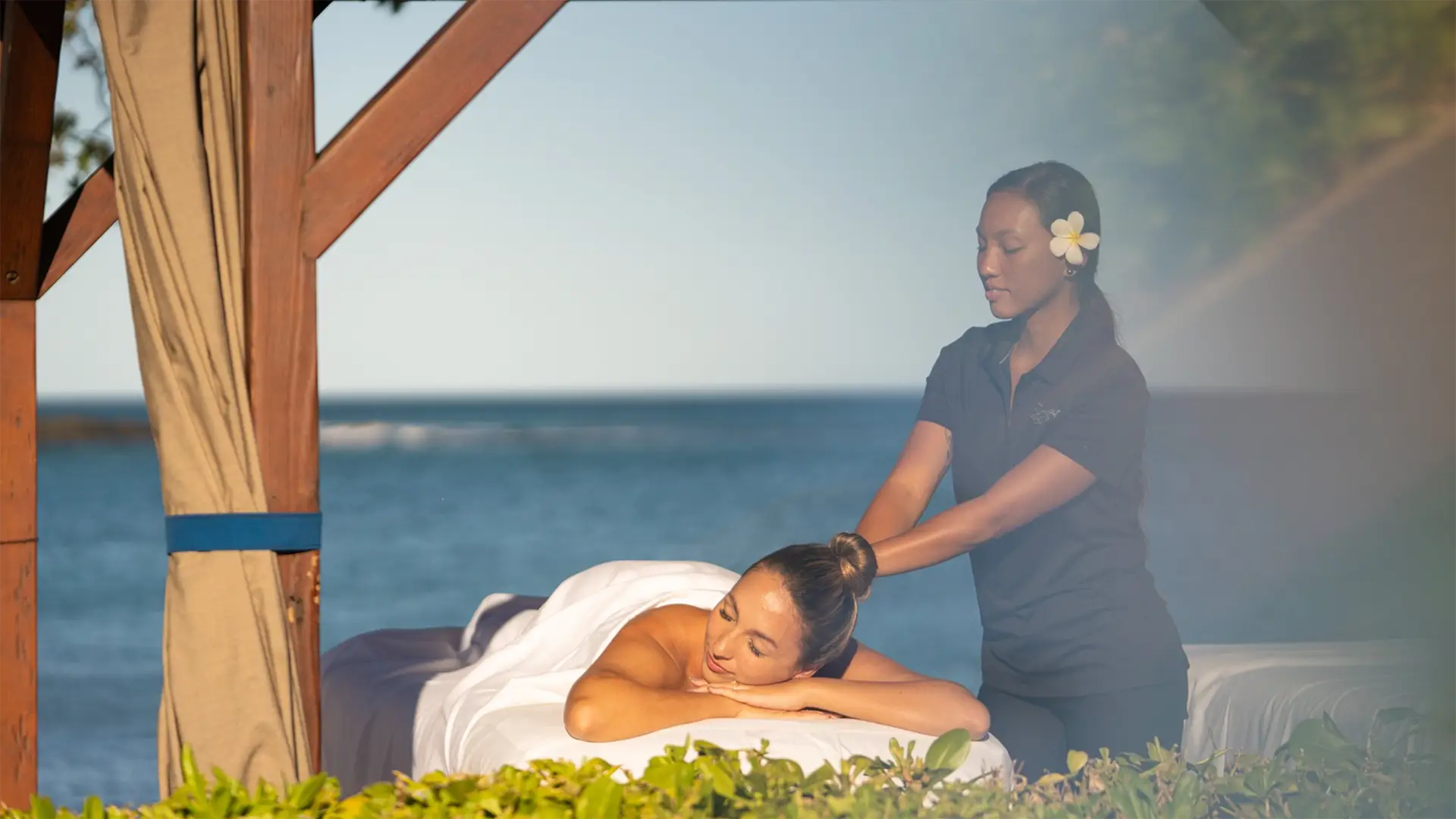 Fairmont Orchid