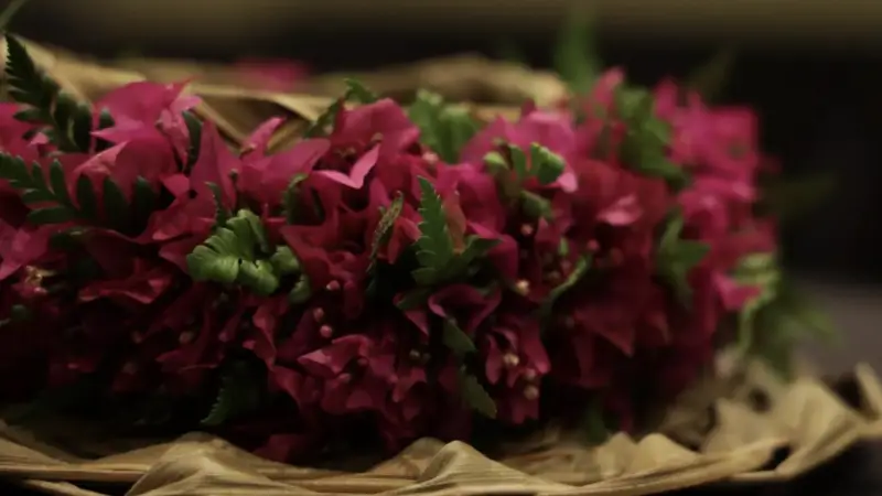 Lihue Annual Events, Kauai, May Lay Day