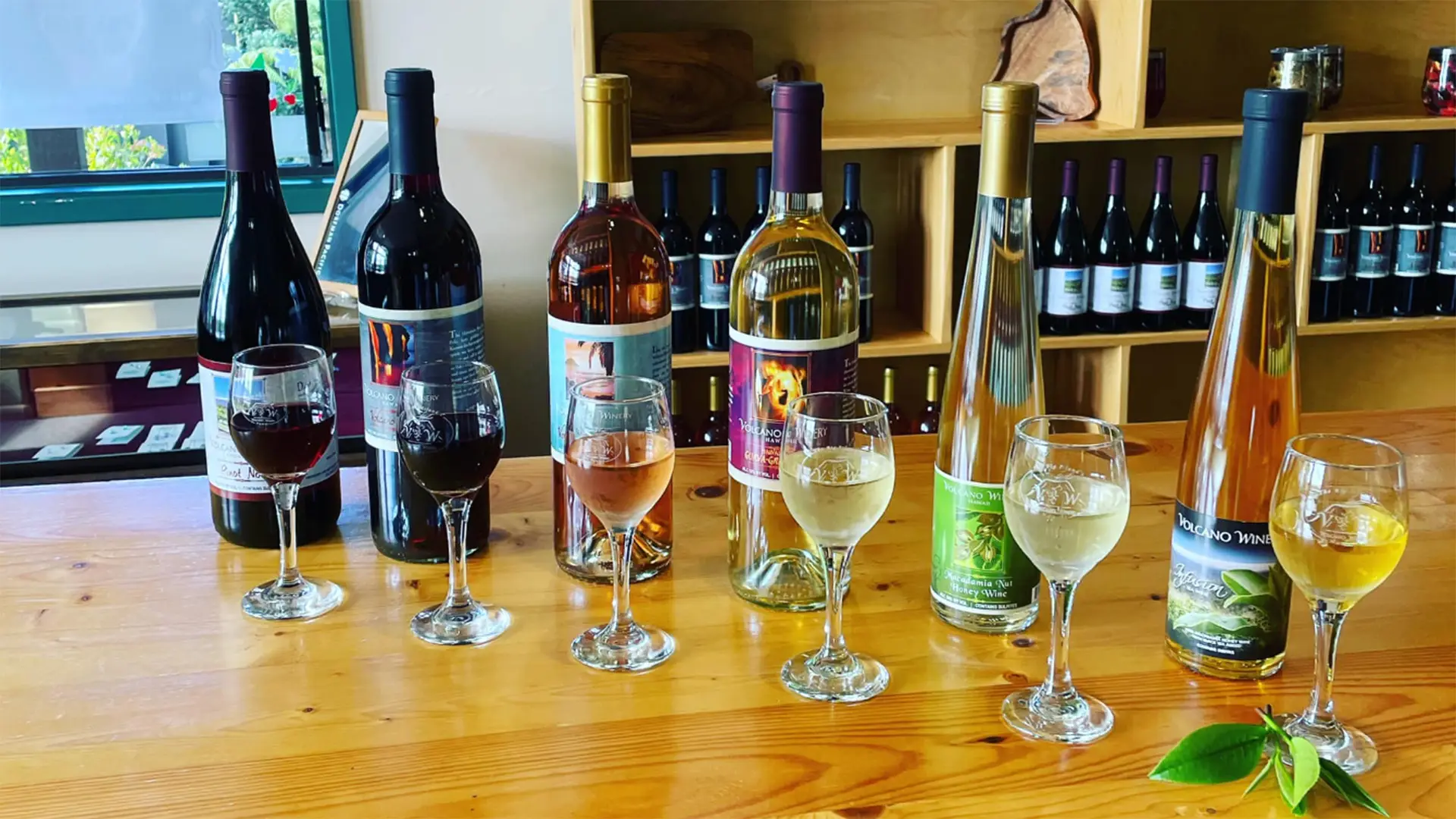 A selection of six different bottles of wine in varying colors and styles line a wooden table, each paired with a filled wine glass in front. Shelves with more wine bottles are visible in the background, alongside a window offering natural light, making it one of the best places to visit on the Big Island.